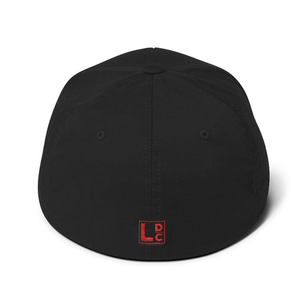 The Hat - Structured Twill Cap